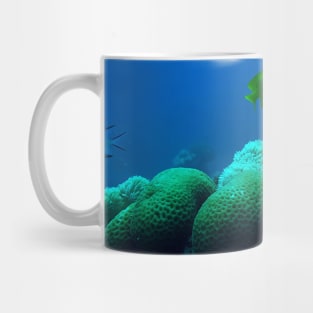 Red Sea Coral Reef Mug